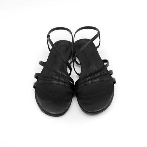 Terra | Negro